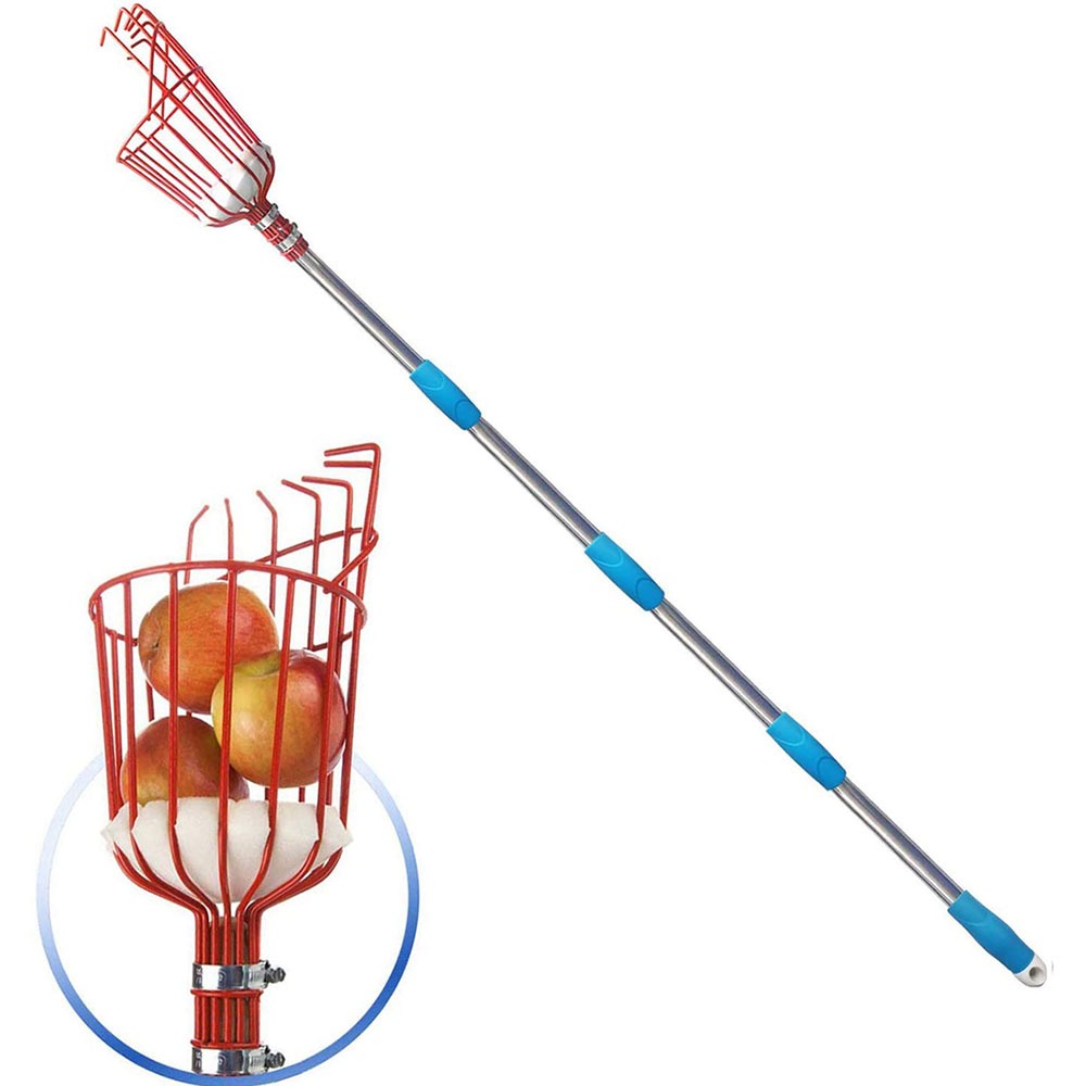 Cycle Zone - 260cm Obstpflücker, Korb mit einstellbarer Tiefe,